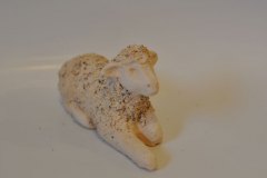 baran